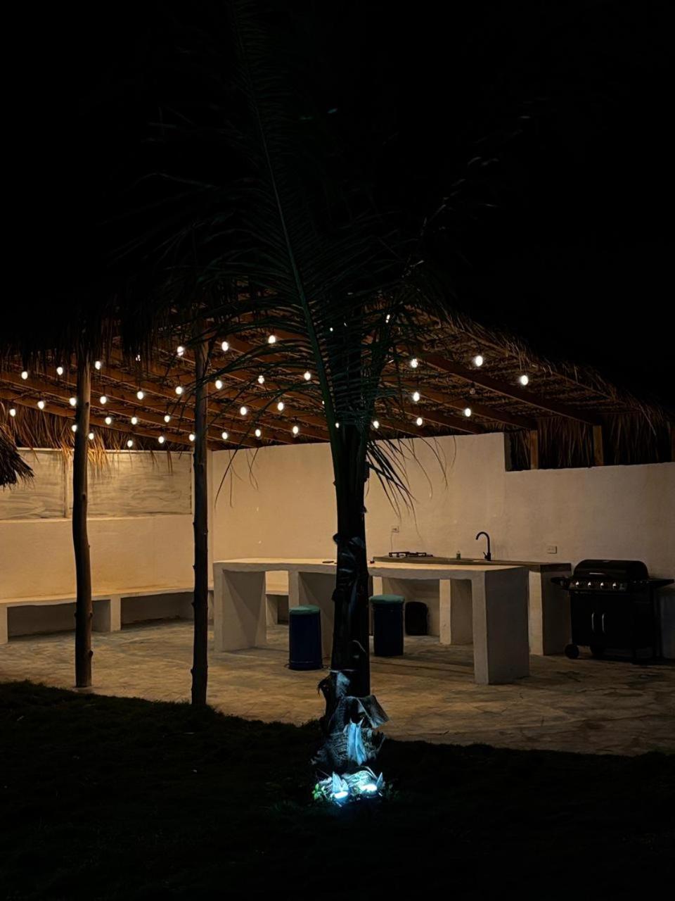 Blue Beach Eco-Hotel By Sanfabini バヤイベ エクステリア 写真